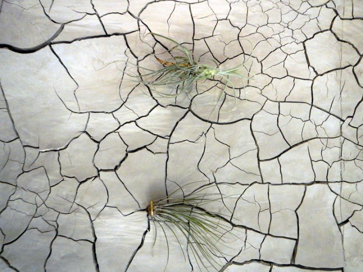 Dry cracked mud wall art