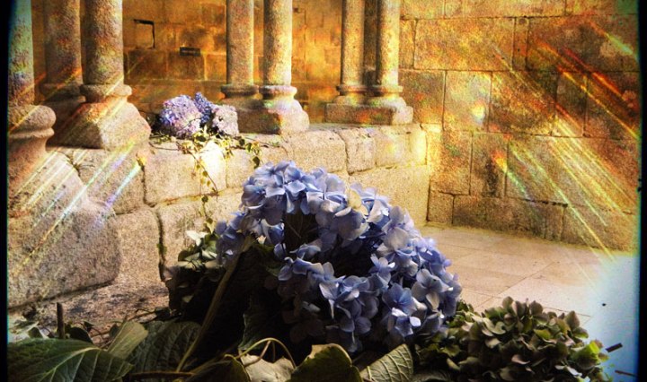Wedding hydrangeas in the Parador on the Sacred Shore of the Rio Sil in Spain: Pixlromatic