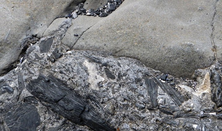 layered black rock has been broken up and reformed into pockets within the worn rocks can be found in Botanical Beach