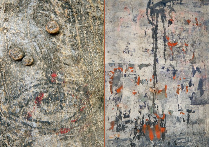 Diptych of Abstract grey wall and tree bark both with splashes of orange