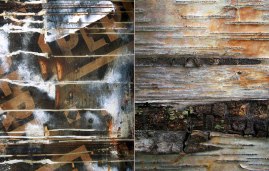 Diptychs: A Conversation between Natural and Unnatural. Used concrete forms and tree bark from around the neighbourhood.