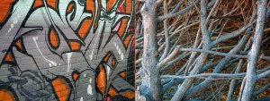 abstract diptych of graffiti on a orange brick wall combined with an over-pruned cedar hedge