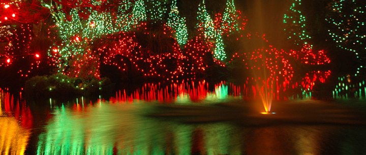 Red and green Christmas lights at Van Dusen gardens in Vancouver, Canada