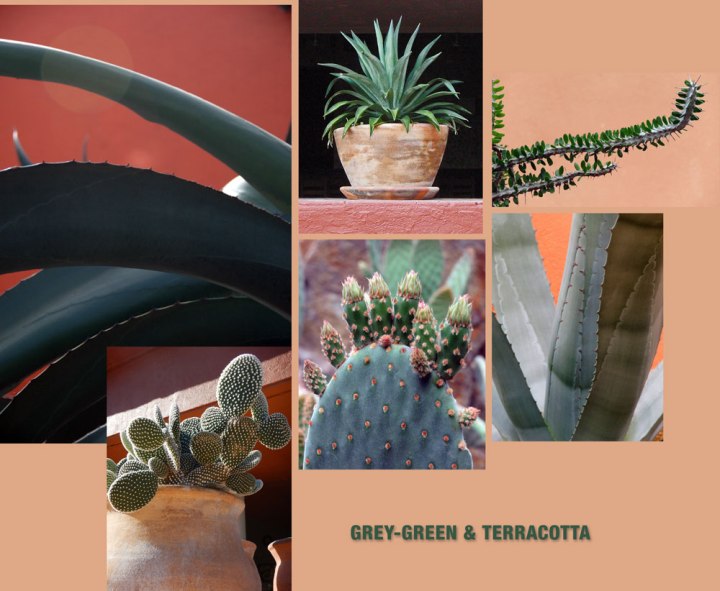 Grey-green and pale terracotta mood board