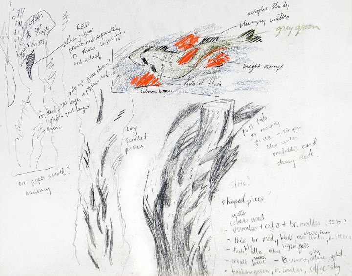 sketches of salmon swimming upstream to spawn